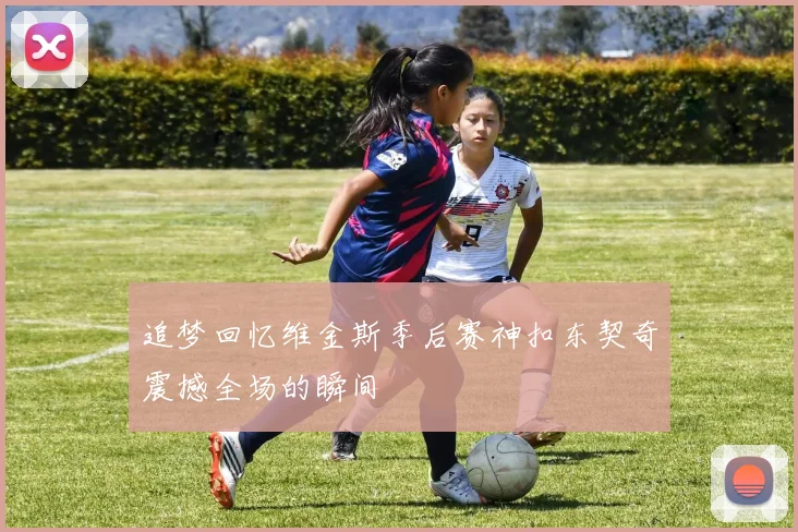 追梦回忆维金斯季后赛神扣东契奇震撼全场的瞬间