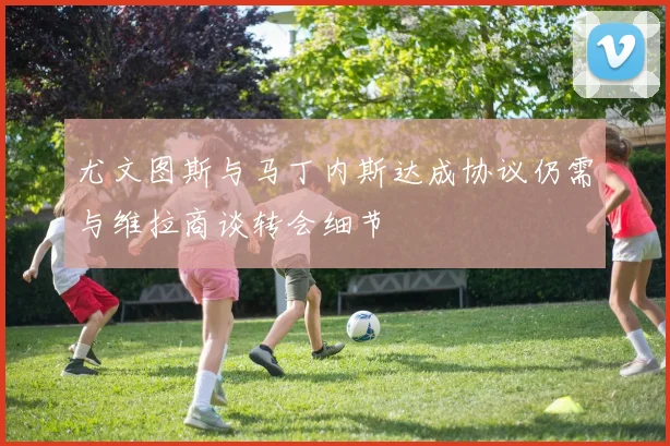 尤文图斯与马丁内斯达成协议仍需与维拉商谈转会细节