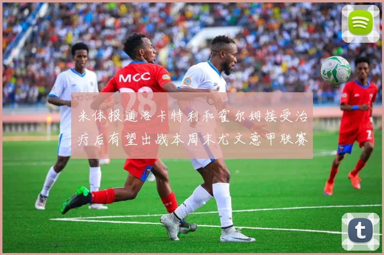 米体报道洛卡特利和霍尔姆接受治疗后有望出战本周末尤文意甲联赛